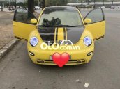 Volkswagen beetle 99