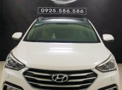 Mẫu SUV trẻ trung, khỏe khoắn