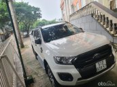Xe cuối 2019