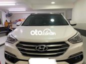 xe gia đình đi kĩ bão dưỡng định kì