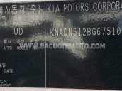 Xe nhập khẩu, màu trắng
