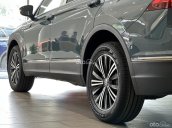 Màu xanh petro xanh độc lạ của Volkswagen - Khuyến mãi tháng 6/2023 lên đến hơn 300 triệu