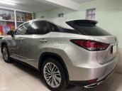 Xe cọp