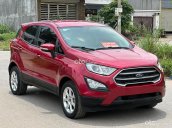 Ford EcoSport 2020 tại Thái Nguyên