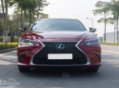 Xe nhập, biển Hà Nội