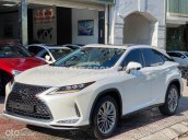 Lexus RX 350 2019 tại Hà Nội