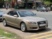 Audi A5 2011 tại Tp.HCM