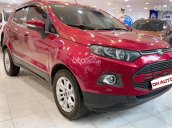 Ford EcoSport 2015 số tự động tại Tp.HCM