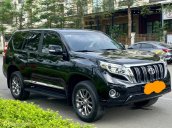 Xe nhập khẩu, máy xăng
