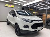 Ford EcoSport 2017 tại Tp.HCM