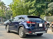 Lexus RX 300 2021 tại Hà Nội