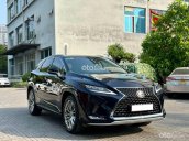 Lexus RX 300 2021 tại Hà Nội