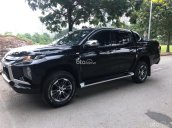 màu đen, biển Hà Nội, một chủ từ đầu đi 4 vạn