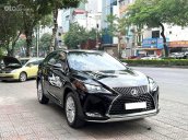 Lexus RX 300 2022 tại Hà Nội