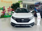 Xe Mới 100% Giá Đã Lăn Bánh còn 1tỷ119