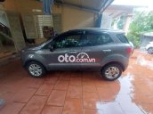 Bán CUV Ford Ecosport đi gia đình