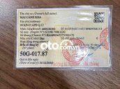 Ảnh số 22