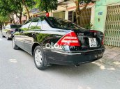 Ảnh số 12