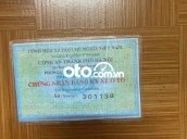 Ảnh số 10