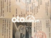 Ảnh số 11