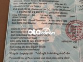 Ảnh số 13