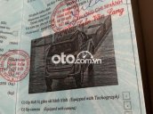 Ảnh số 15