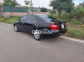 Ảnh số 12
