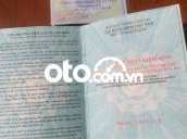 Ảnh số 24