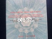 Ảnh số 20