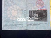 Ảnh số 19