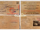 Ảnh số 18