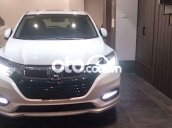 Nhu cầu công việc đổi nên bán tải cần nhượng lại