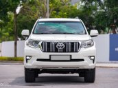 Toyota Land Cruiser Prado 2.7 VX 2019