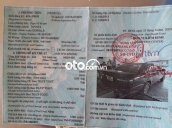 Ảnh số 10