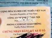 Ảnh số 12