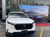 Uu đãi "KHỦNG" lên tới ~ 200trieu cho khách hàng cọc xe luôn