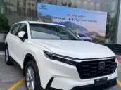 Uu đãi "KHỦNG" lên tới ~ 200trieu cho khách hàng cọc xe luôn