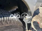 Ảnh số 19