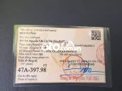 Ảnh số 19