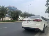 Ảnh số 15