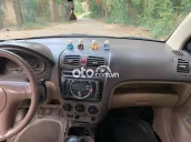 Ảnh số 18