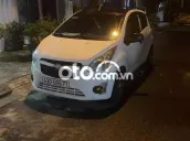 Ảnh số 15