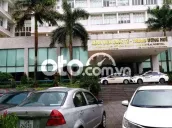 Ảnh số 4