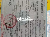 Ảnh số 12