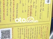 Ảnh số 13
