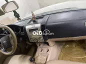Ảnh số 11