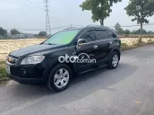 xe gia đình