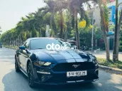 Ford Mustang 2020 Siêu Cọp 5s 100km.