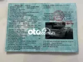 xe tổng giám đốc
