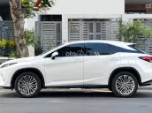 Lexus RX 300 2021 tại Bình Dương